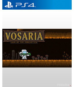 Vosaria: Lair of the Forgotten PS4