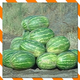 You Like Melons?!