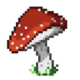 Beginer Mushroom