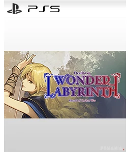 Record of Lodoss War -Deedlit in Wonder Labyrinth PS5