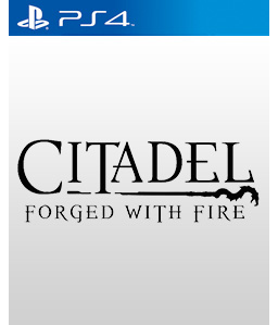 Citadel: Forged With Fire PS4