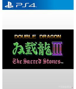 Double Dragon Ⅲ: The Sacred Stones PS4