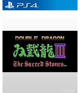 Double Dragon Ⅲ: The Sacred Stones PS4