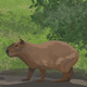 The Capybara P - *Okay I pull up*