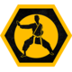 Karate Purist
