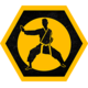 Karate Purist