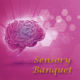 Sensory Banquet