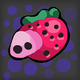 Strawberry piggy