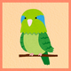 Pet: Parrot