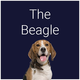100 Beagle Strokes