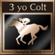 Champion 3 yo Colt Breeder