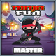 Ninja Fun master