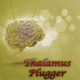 Thalamus Plugger