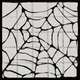 Web. We hate the spider web